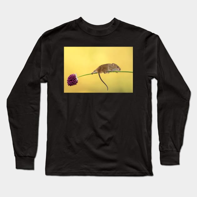 The trapese artist Long Sleeve T-Shirt by mansaards